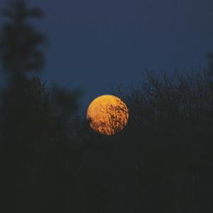 啊灬嫲灬把腿抬起来嫲软件
