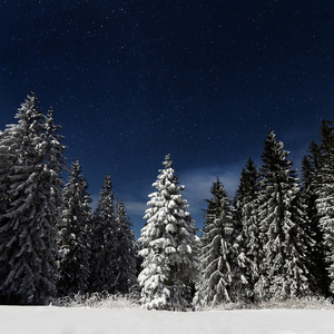 啊灬嫲灬把腿抬起来嫲软件
