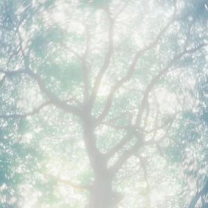 啊灬嫲灬把腿抬起来嫲软件
